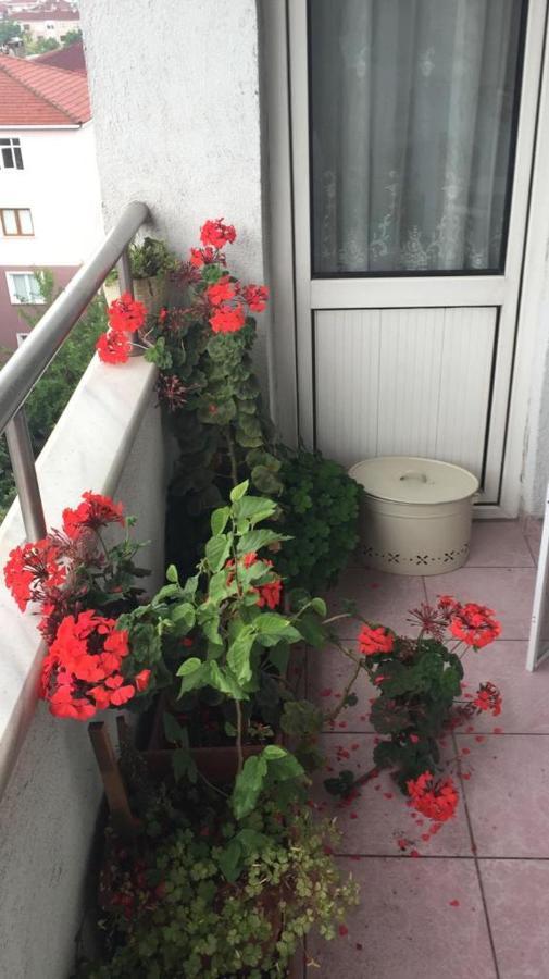 Single Room, Одноместная Комната В Доме, Chambre D'Une Personne, Habitacion Individual Istanbul Ngoại thất bức ảnh