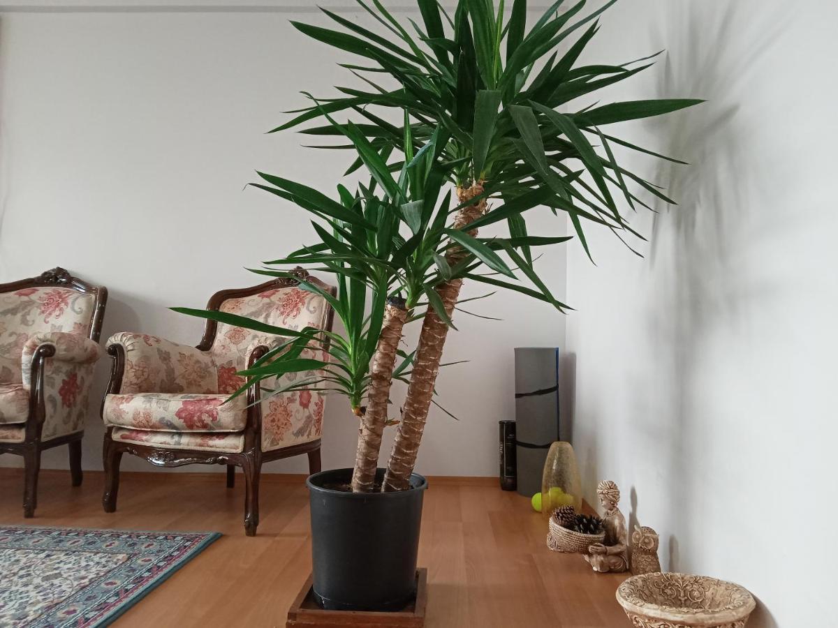 Single Room, Одноместная Комната В Доме, Chambre D'Une Personne, Habitacion Individual Istanbul Ngoại thất bức ảnh